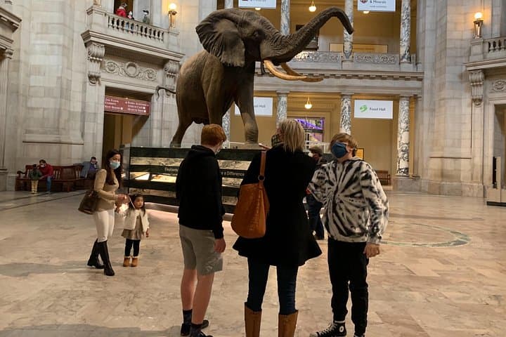 Smithsonian National Museum of Natural History — 2-Hour Guided Tour & Visitor Tips photo 3