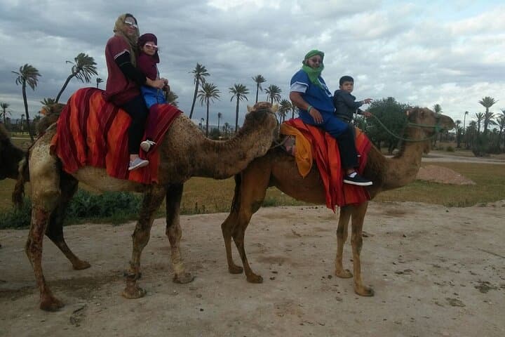 Atlas Mountains Trek and Agafay Sunset Camel Ride from Marrakech photo 4