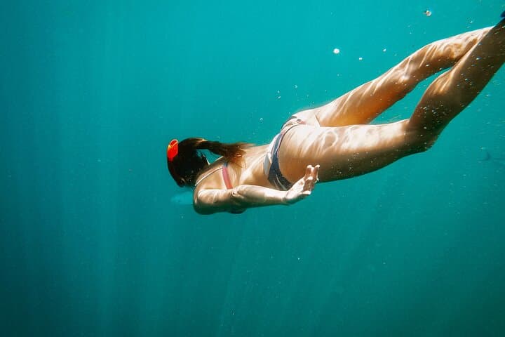Cabo Platinum Snorkel & Whale Watching Tour — Santa Maria and Chileno Bay photo 3