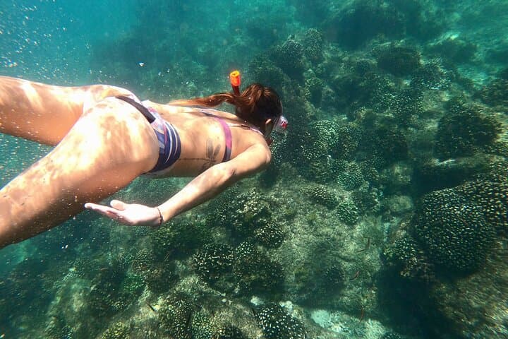 Cabo Platinum Snorkel & Whale Watching Tour — Santa Maria and Chileno Bay photo 4