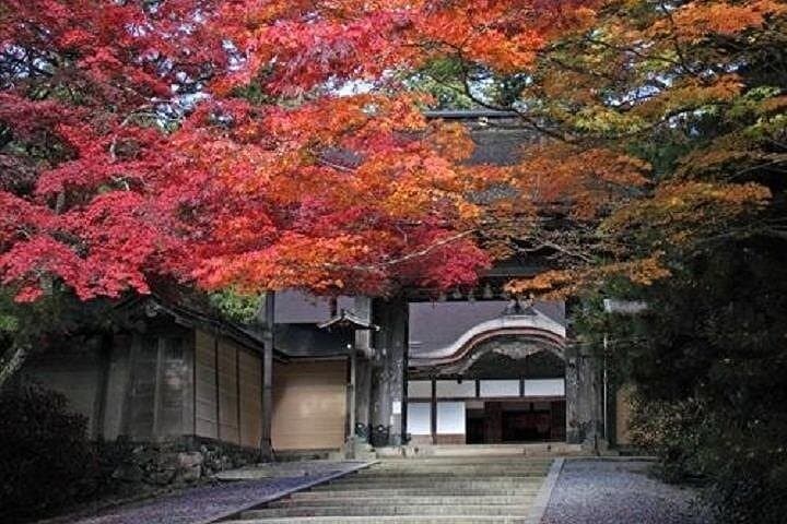 Two-Day Mt Koya Walking Tour & Temple Stay from Osaka photo 4