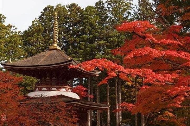 Two-Day Mt Koya Walking Tour & Temple Stay from Osaka photo 5