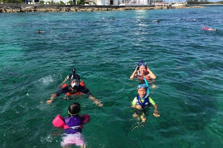 Private Rose Island Snorkel Charter — Turtles, Reefs & Sandy Beaches photo 2