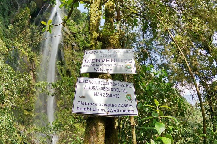 hike-to-la-chorrera-colombias-highest-waterfall photo 5