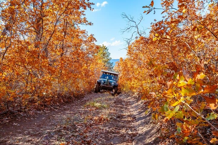 East Zion Brushy Cove Jeep Tour — High-Altitude Jeeping Above Zion National Park