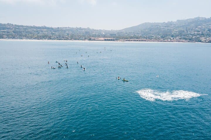 La Jolla Kayak Whale Watching: 2-Hour Guided Tour for Two photo 3