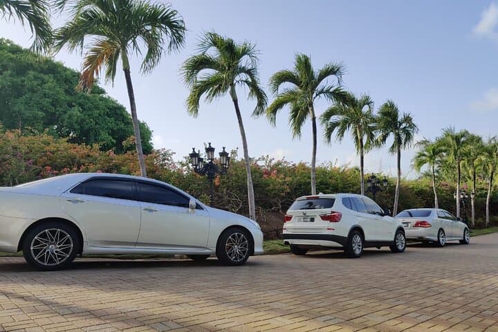 St Lucia Fast Track Arrival & Free Resort Transfer — Skip Lines at UVF photo 6