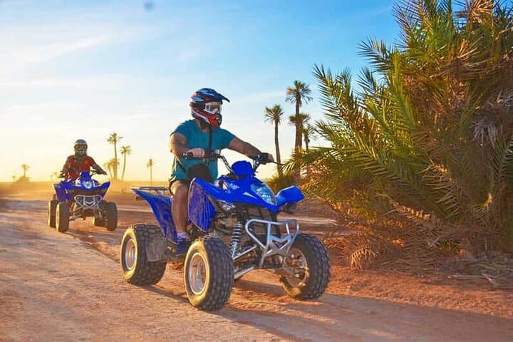Quad Biking the Palmeraie: Marrakech Off-Road Adventure & Berber Tea