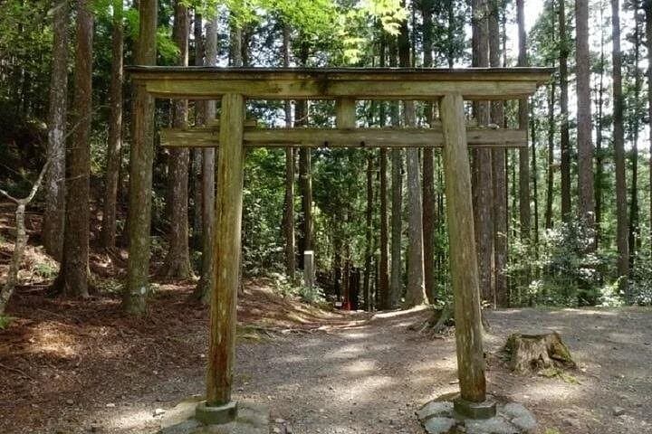Kumano Kodo 2-Day Guided Walk from Osaka — Nakahechi Pilgrimage photo 3