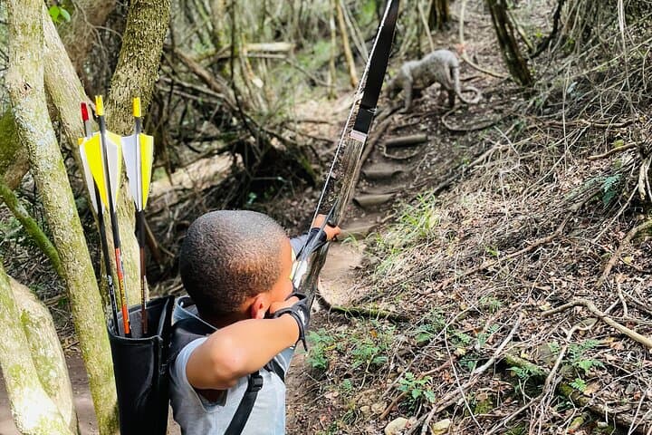 3D Archery in Plettenberg Bay — 90-Min Guided Forest Trail Experience