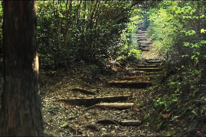 Kumano Kodo 2-Day Guided Walk from Osaka — Nakahechi Pilgrimage photo 4