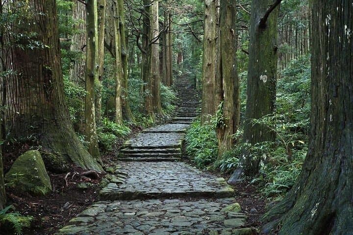 Kumano Kodo 2-Day Guided Walk from Osaka — Nakahechi Pilgrimage photo 5