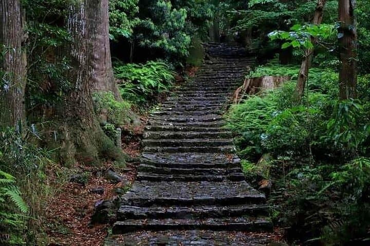 Kumano Kodo 2-Day Guided Walk from Osaka — Nakahechi Pilgrimage photo 6