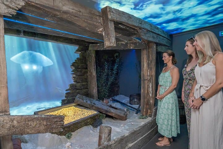 Sint Maarten Pirate Experience at the Rusty Parrot — Family-Friendly Caribbean Pirate Museum photo 6