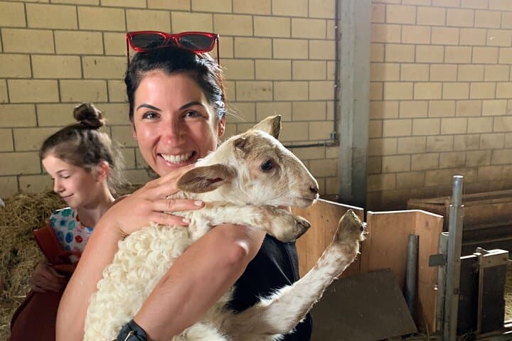 Day Trip to San Sebastián and Award-Winning Idiazabal Cheese Farm from Bilbao