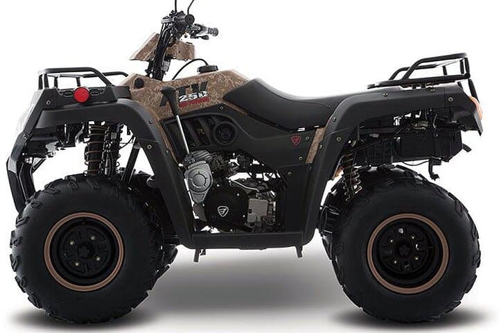 ATV to Cenotes: Tulum’s Three-Cenote Adventure with Snorkel & Mayan Lunch photo 2