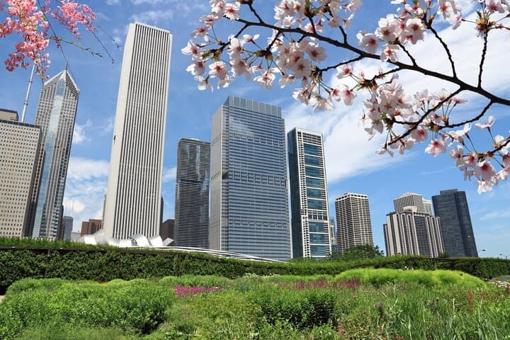 Self-Guided Millennium Park Walking Tour: Cloud Gate, Lurie Garden & More photo 4