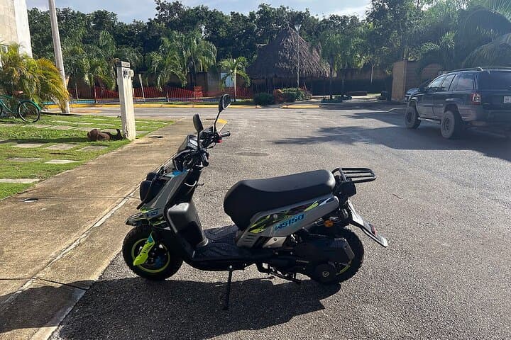 Explore Tulum’s Hidden Cenotes on a Guided Scooter Tour with Snorkeling and Local Lunch photo 6