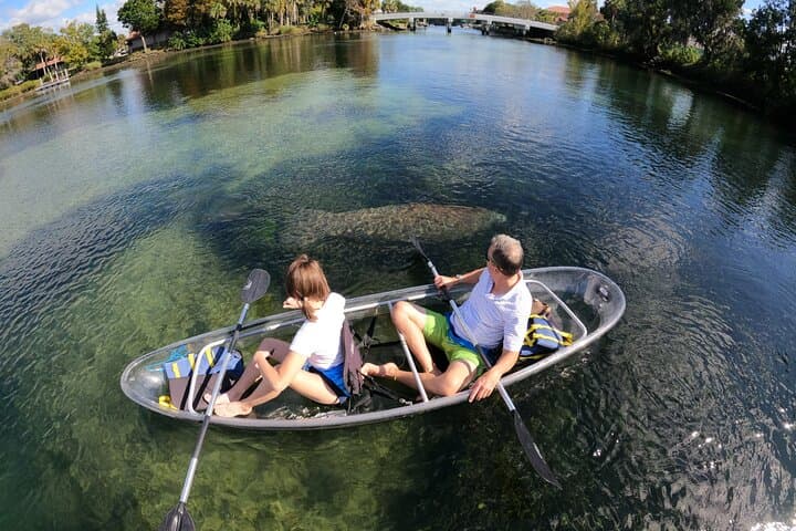 Clear Kayak Manatee Ecotour in Crystal River — Paddle with Manatees in Crystal-Clear Water photo 4