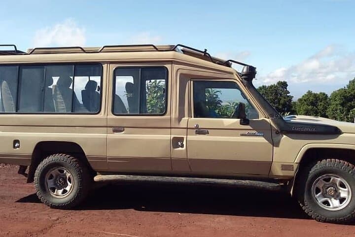 3-Day Fly-In Selous Safari: Rufiji River Boat & Game Drives photo 3