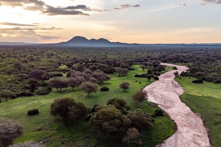 3-Day Fly-In Selous Safari: Rufiji River Boat & Game Drives