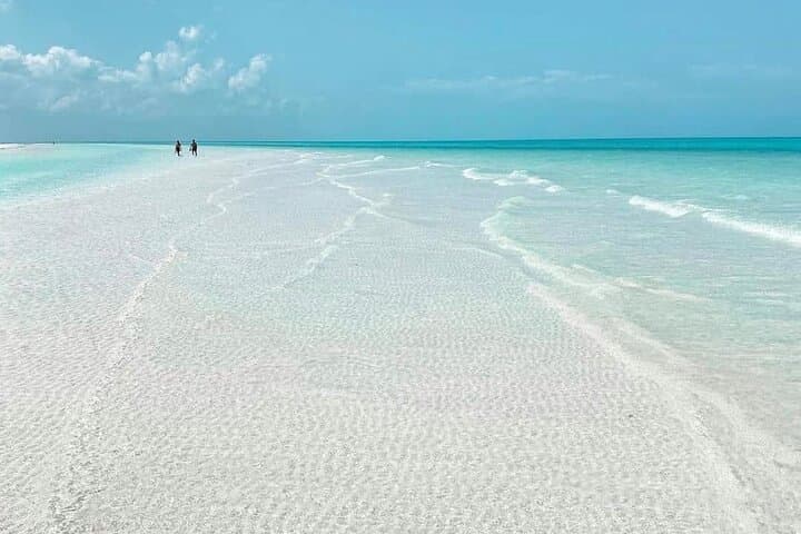 Holbox Island & Yalahau Cenote Day Trip from Cancún — Beaches, Birds & Sandbars photo 3