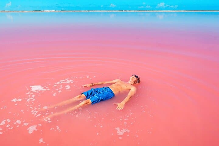 Las Coloradas Pink Lakes & Río Lagartos Wildlife Tour — Flamingos, Pink Lagoons & Boat Safari photo 4