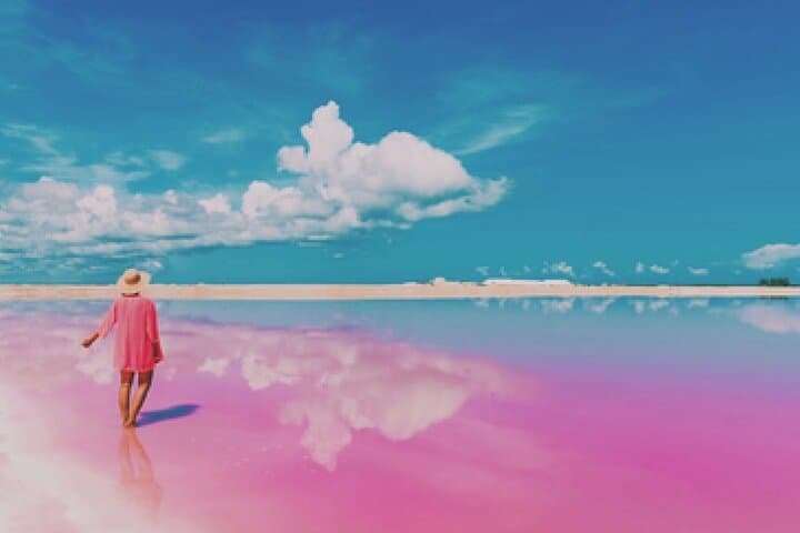 Las Coloradas Pink Lakes & Río Lagartos Wildlife Tour — Flamingos, Pink Lagoons & Boat Safari photo 5