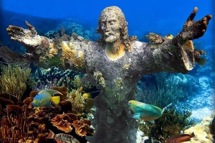 Explore Key Largo’s Vibrant Coral Reefs and Hidden Sandbars: A Private Snorkeling Adventure photo 2