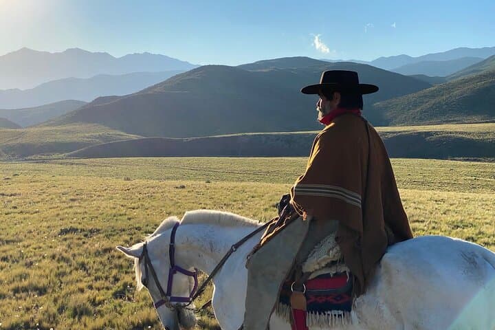 Andes Cabalgata: Full-Day Horseback Riding and Asado near Mendoza photo 5