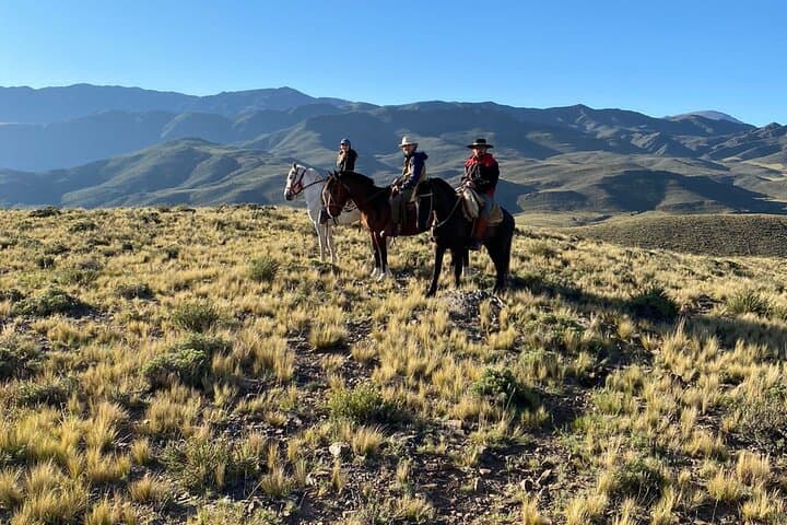 Andes Cabalgata: Full-Day Horseback Riding and Asado near Mendoza photo 6