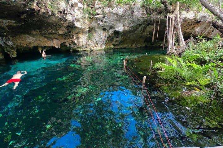 Explore Tulum’s Hidden Cenotes on a Guided Scooter Tour with Snorkeling and Local Lunch photo 3