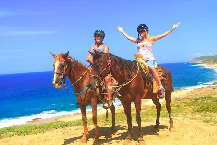 Beach Horseback Riding in Los Cabos — Pacific Coast Horse Ride photo 2