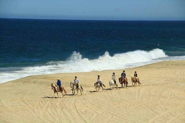 Beach Horseback Riding in Los Cabos — Pacific Coast Horse Ride photo 3