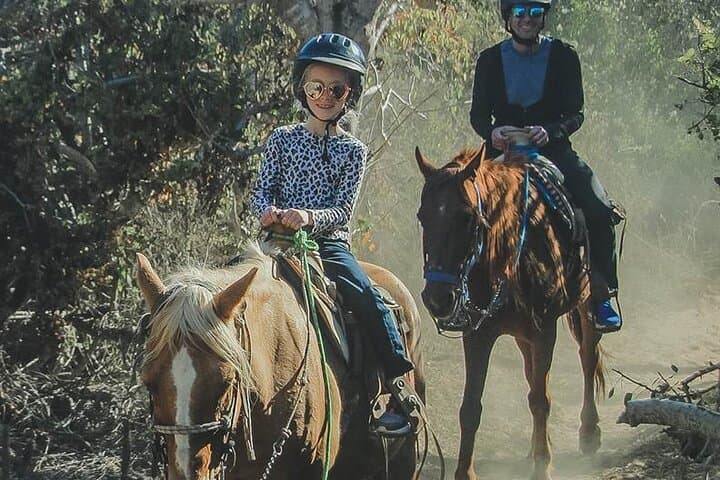 Beach Horseback Riding in Los Cabos — Pacific Coast Horse Ride photo 5