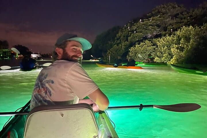 Glass-Bottom LED Kayak Night Tour in St. Pete Beach: Fish Feeding & Mangrove Bird Island photo 4