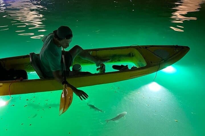 Glass-Bottom LED Kayak Night Tour in St. Pete Beach: Fish Feeding & Mangrove Bird Island photo 2