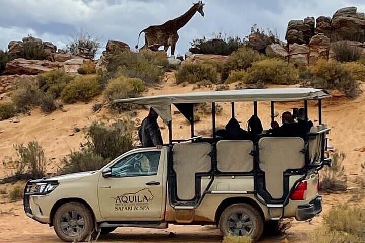 Full-Day Aquila Safari: Big 5 Game Drive from Cape Town photo 2