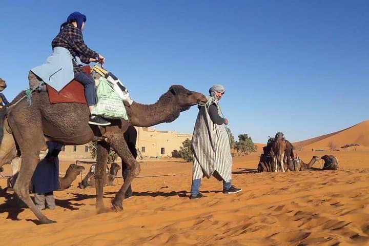 12-Day Morocco Highlights Tour from Casablanca: Sahara, Fes & Marrakech photo 2