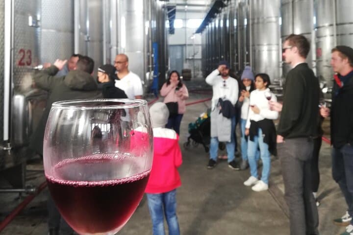 Kakheti Full-Day Wine & Culture Tour from Tbilisi — Sighnaghi, Bodbe & Khareba photo 6