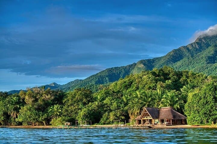 5-Day Gombe & Mahale Chimpanzee Trekking on Lake Tanganyika photo 3