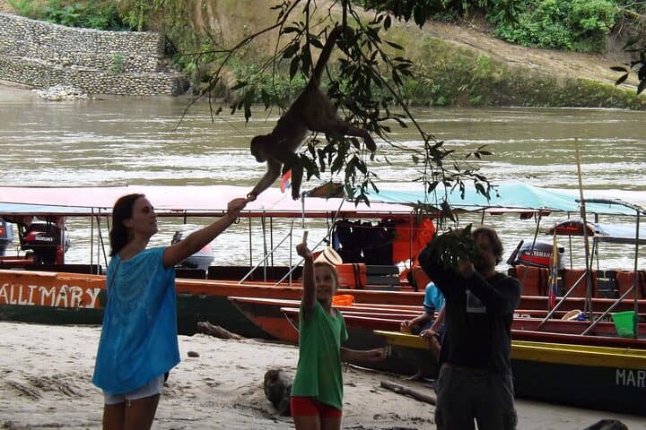 3-Day Amazon Adventure: Tena Jungle Lodge Trip from Quito