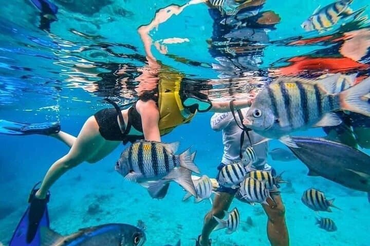 Cozumel Snorkeling: El Cielo, Palancar & Columbia Reefs from Cancun photo 2