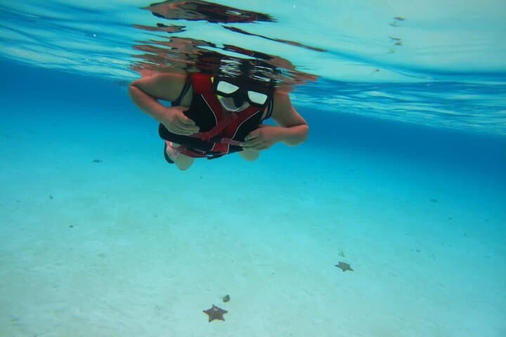 Cozumel Snorkel Nature Experience from Cancun & Playa del Carmen photo 3