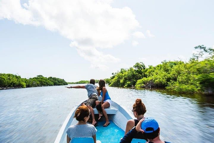 Explore Rio Lagartos & Las Coloradas: Pink Lakes, Flamingos and a Mayan Bath photo 2