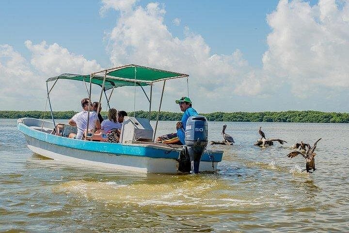 Las Coloradas & Rio Lagartos Day Trip from Tulum: Pink Lakes, Flamingos and Mud Baths photo 4