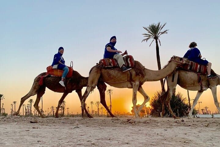 Camel Ride in Marrakech's Palm Grove — 2-Hour Palmeraie Ride with Tea photo 2