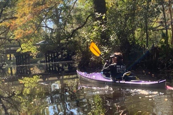 Kayak Honey Island Swamp: 2-Hour Backwater Tour from Slidell/New Orleans photo 1
