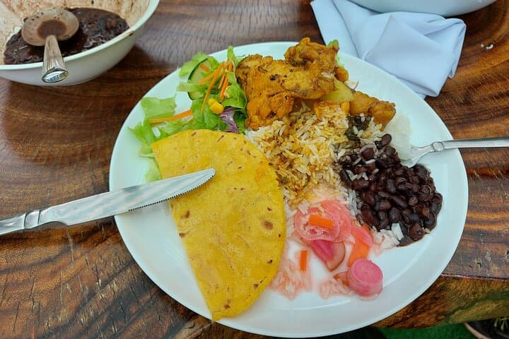 Half-Day Mountain and Coffee Farm Tour in Nosara — Views, ATVs & Farm-to-Table Lunch photo 2