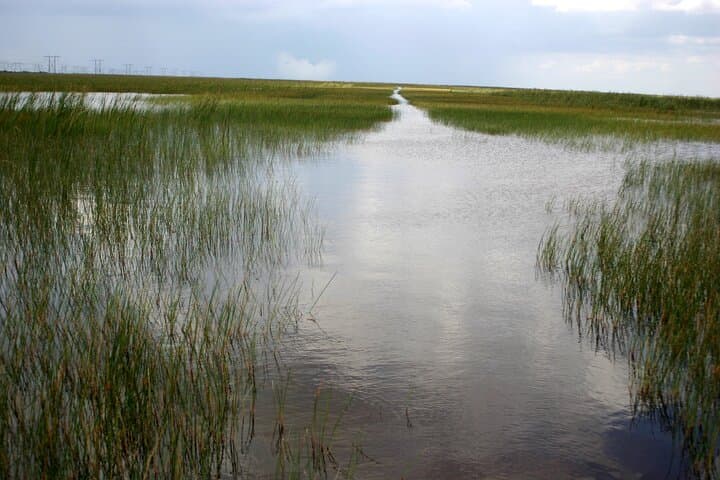 Exploring the Everglades: Florida’s Classic Airboat Wildlife Adventure photo 5